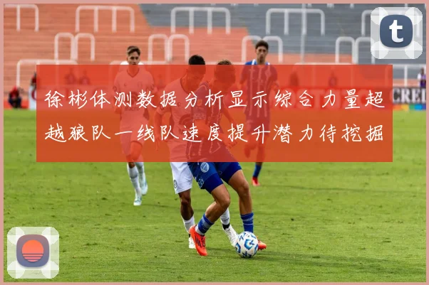 徐彬体测数据分析显示综合力量超越狼队一线队速度提升潜力待挖掘