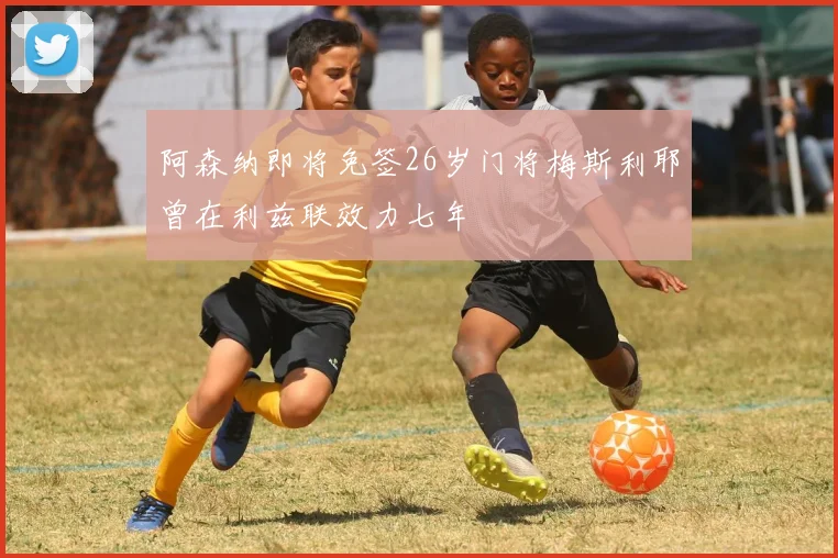 阿森纳即将免签26岁门将梅斯利耶曾在利兹联效力七年
